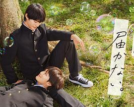 河南祥云平台网站优化